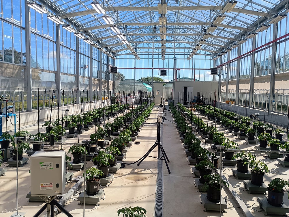 Plant Flow Solutions PhenoPlant Greenhouse​